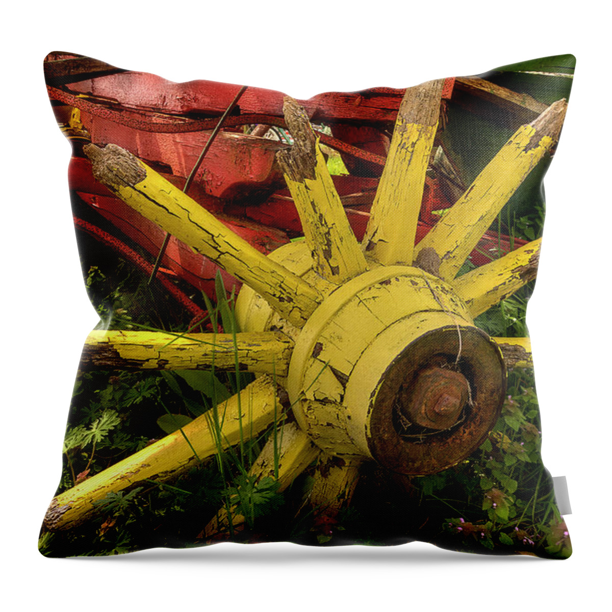 Wagon Throw Pillow featuring the photograph Broken Down by Mike Eingle