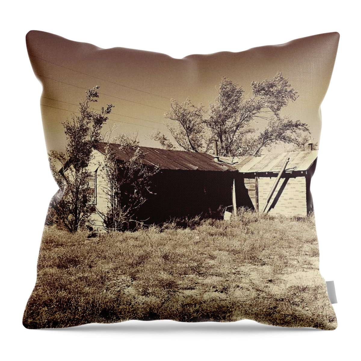 Rural Throw Pillow featuring the photograph Broken Homestead by Brad Hodges