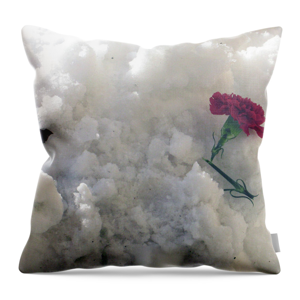 Promise Throw Pillow featuring the photograph Broken Promise by Wanda Brandon