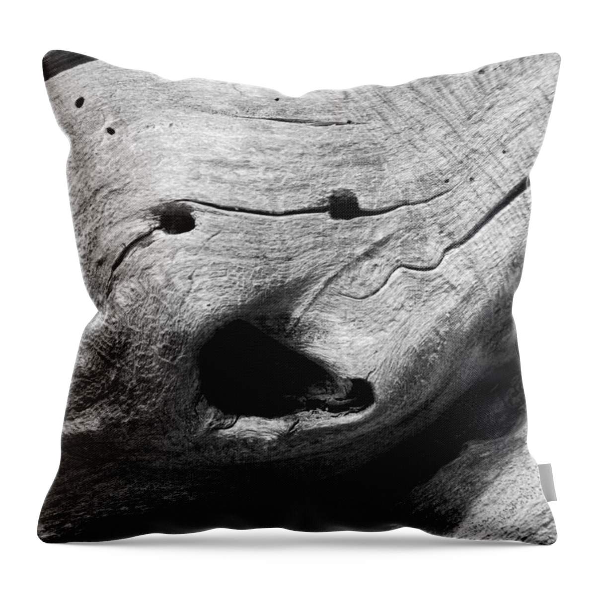 Wood Throw Pillow featuring the photograph Broken Smiles by Donna Blackhall