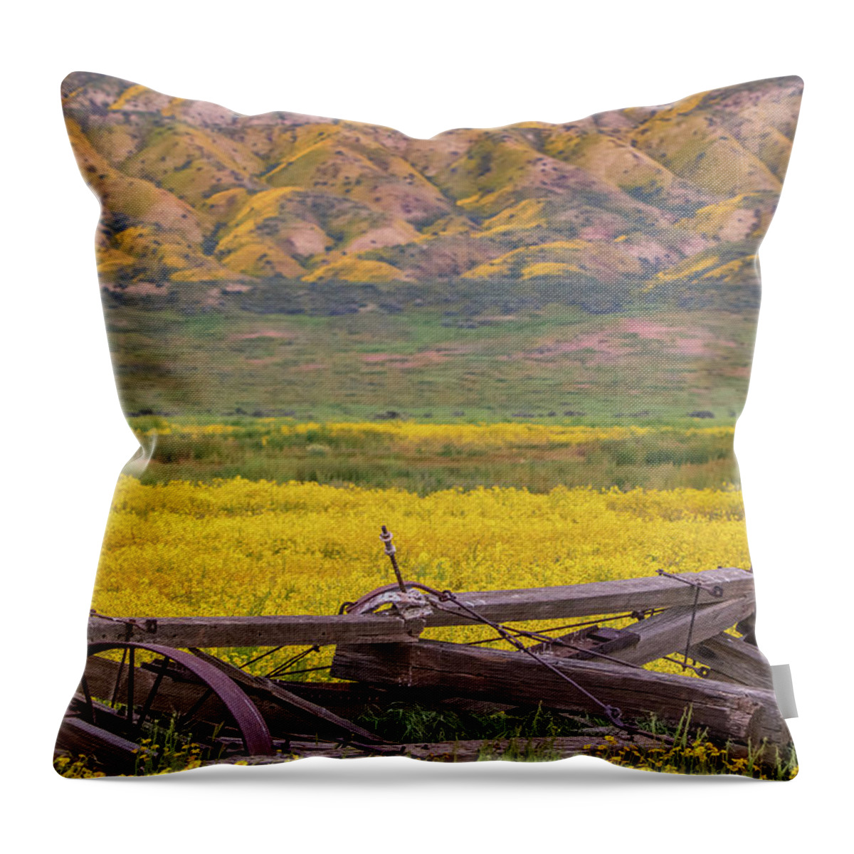 California Throw Pillow featuring the photograph Broken Wagon in a Field of Flowers by Marc Crumpler