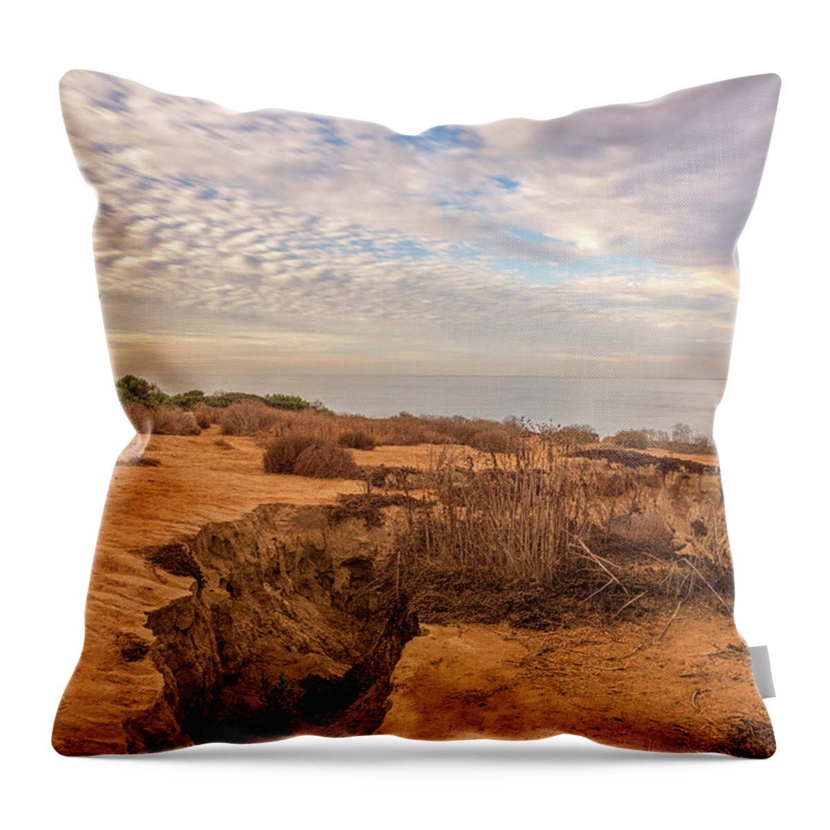 San Diego Throw Pillow featuring the photograph Bronze Coast by Joseph S Giacalone