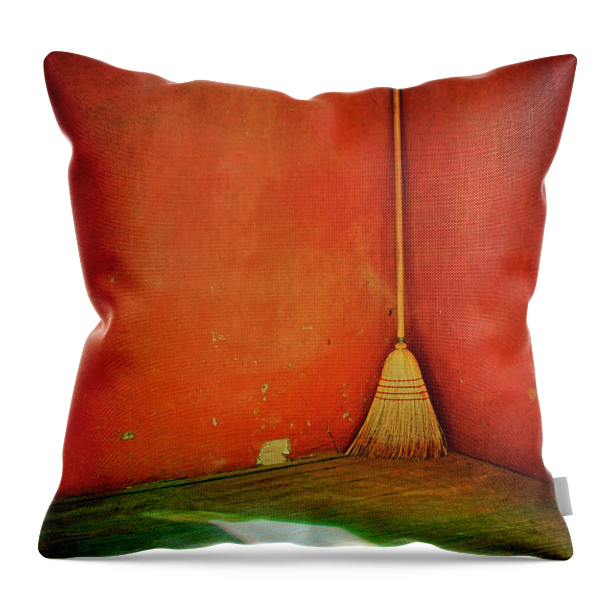 Minimalism Throw Pillow featuring the photograph Broom by Nikolyn McDonald