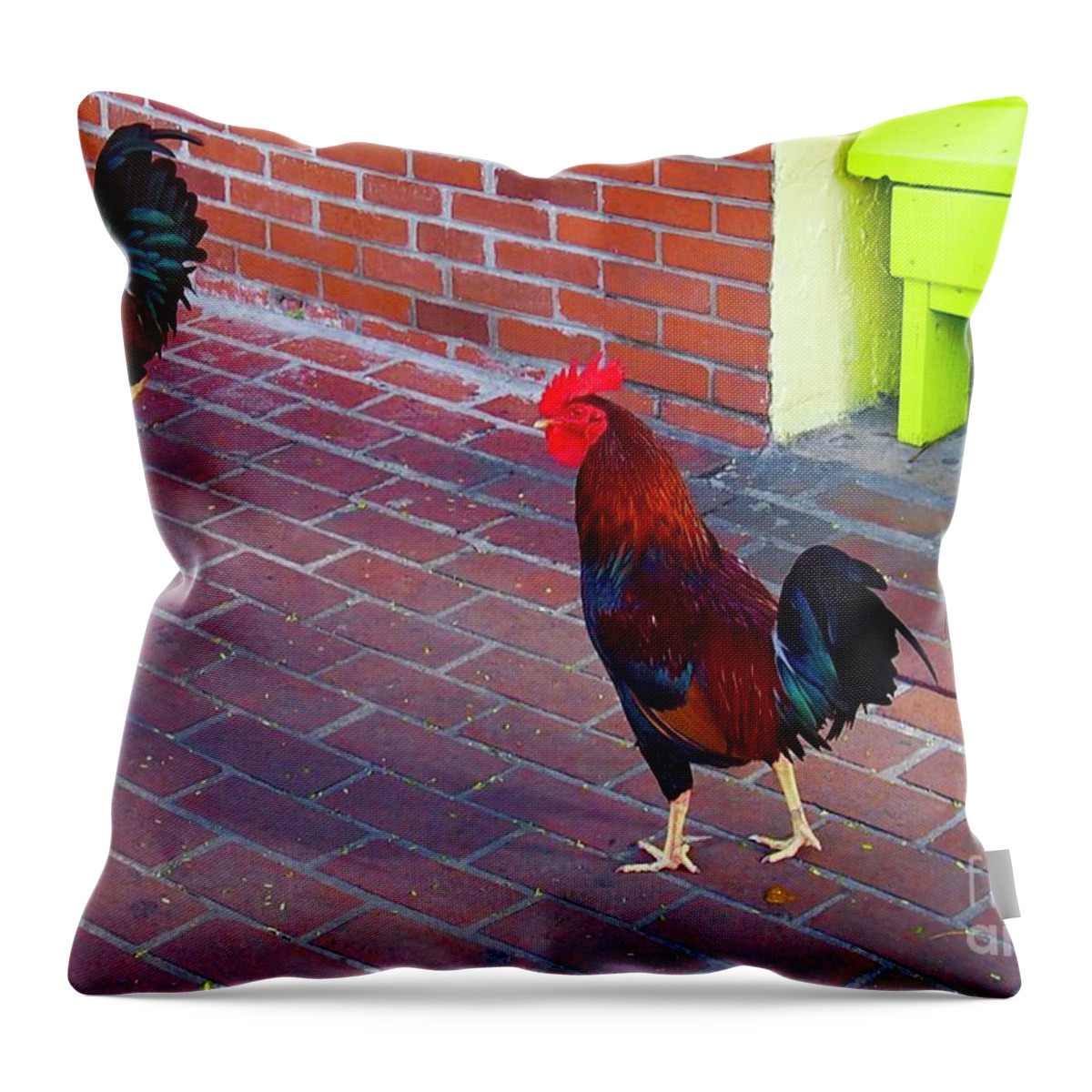Roster Throw Pillow featuring the photograph Brother Rosters by Joseph Mora