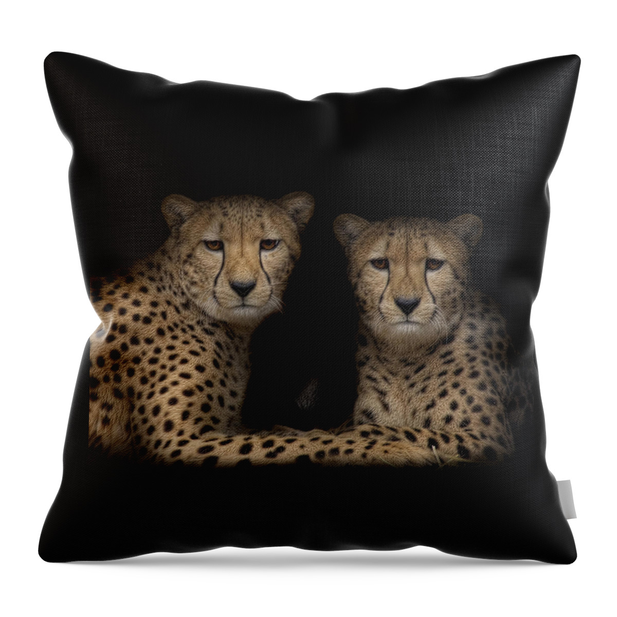  Throw Pillow featuring the photograph Brothers by Cheri McEachin