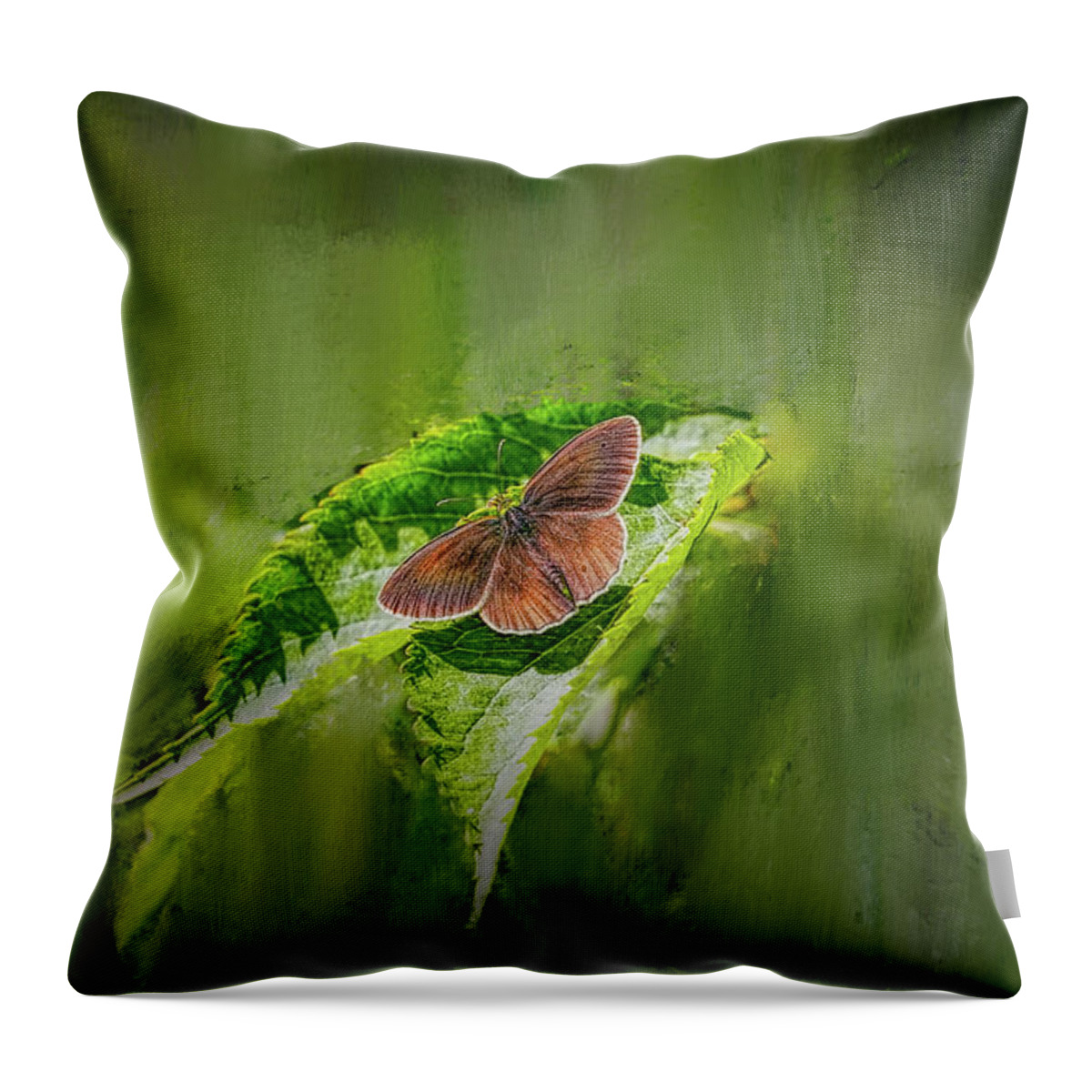 Brown Butterfly Throw Pillow featuring the photograph Brown butterfly #h6 by Leif Sohlman