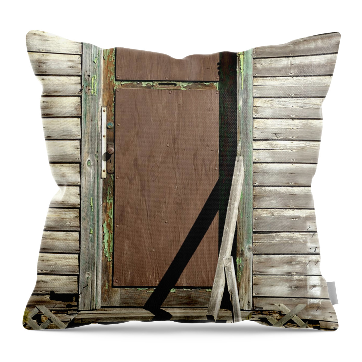 Detroit Throw Pillow featuring the photograph Brown Door of Abandoned House by Sandra Church