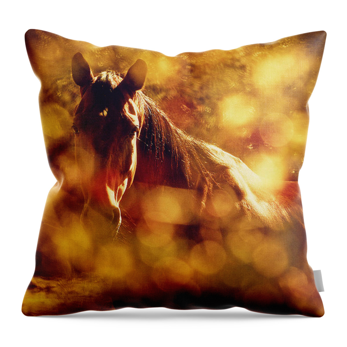 Horse Throw Pillow featuring the photograph Brown Horse Portrait In Summer Day by Dimitar Hristov