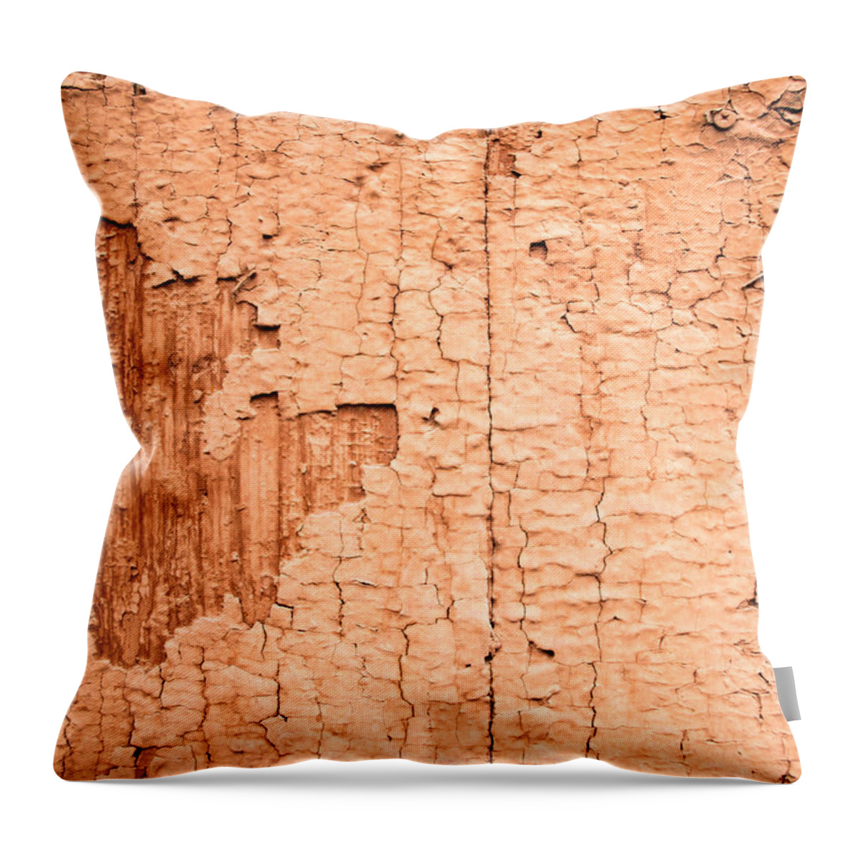 Abstract Throw Pillow featuring the photograph Brown Paint Texture by John Williams