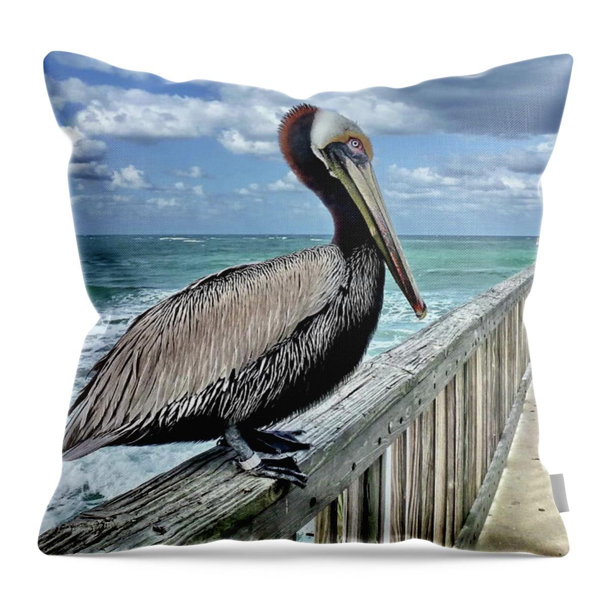 Brown Pelican Throw Pillow featuring the photograph Brown Pelican, Atlantic by Lyuba Filatova