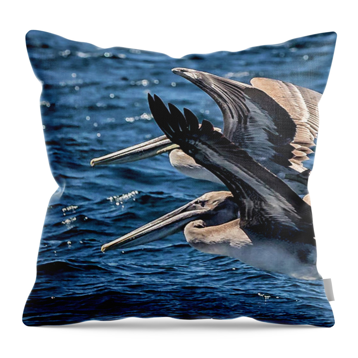 Brown Pelican Throw Pillow featuring the photograph Brown Pelicans by Endre Balogh