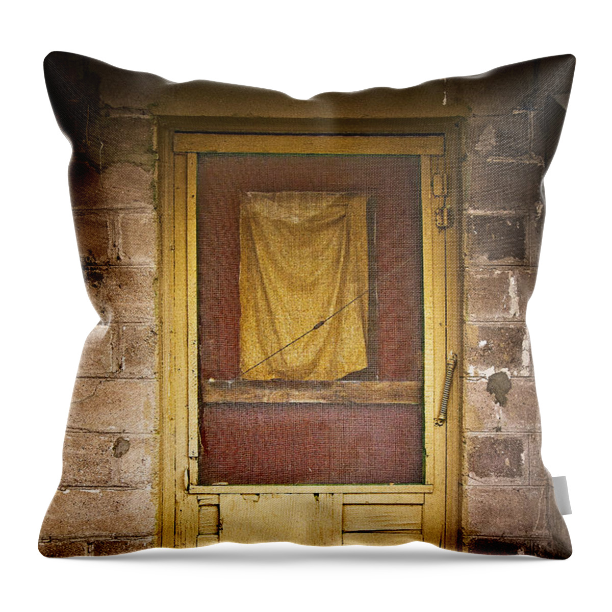 Death Valley Throw Pillow featuring the photograph Brown Rag Door by Craig J Satterlee
