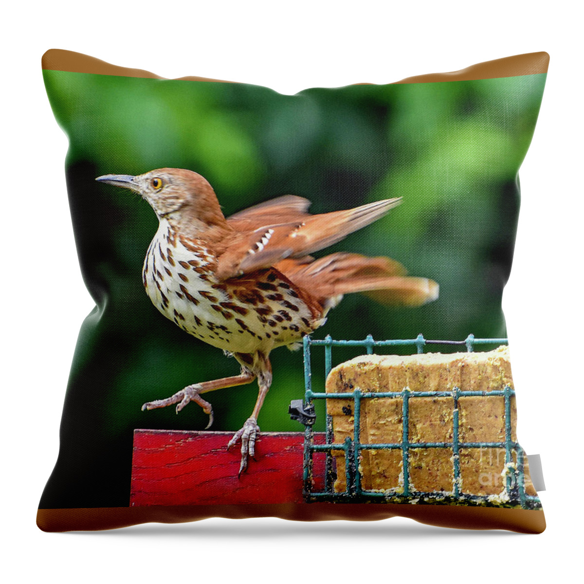 Nature Throw Pillow featuring the photograph Brown Thrasher by DB Hayes