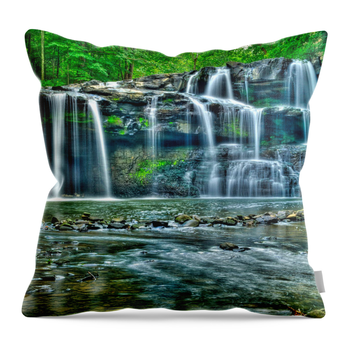 Bush Throw Pillow featuring the photograph Brush Creek Falls 3821 19 20 by Michael Peychich