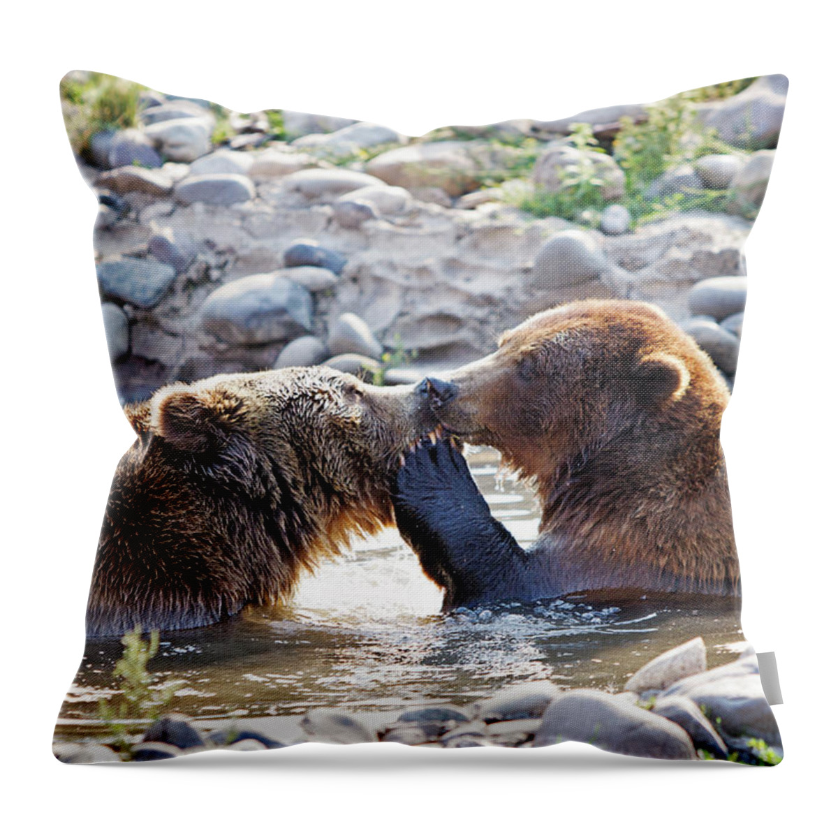 Bear Throw Pillow featuring the photograph Brutus Loves Lucy by Eilish Palmer
