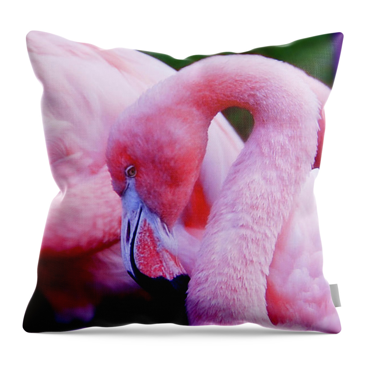 Bird Throw Pillow featuring the photograph Bubble Gum Pink by Elaine Manley