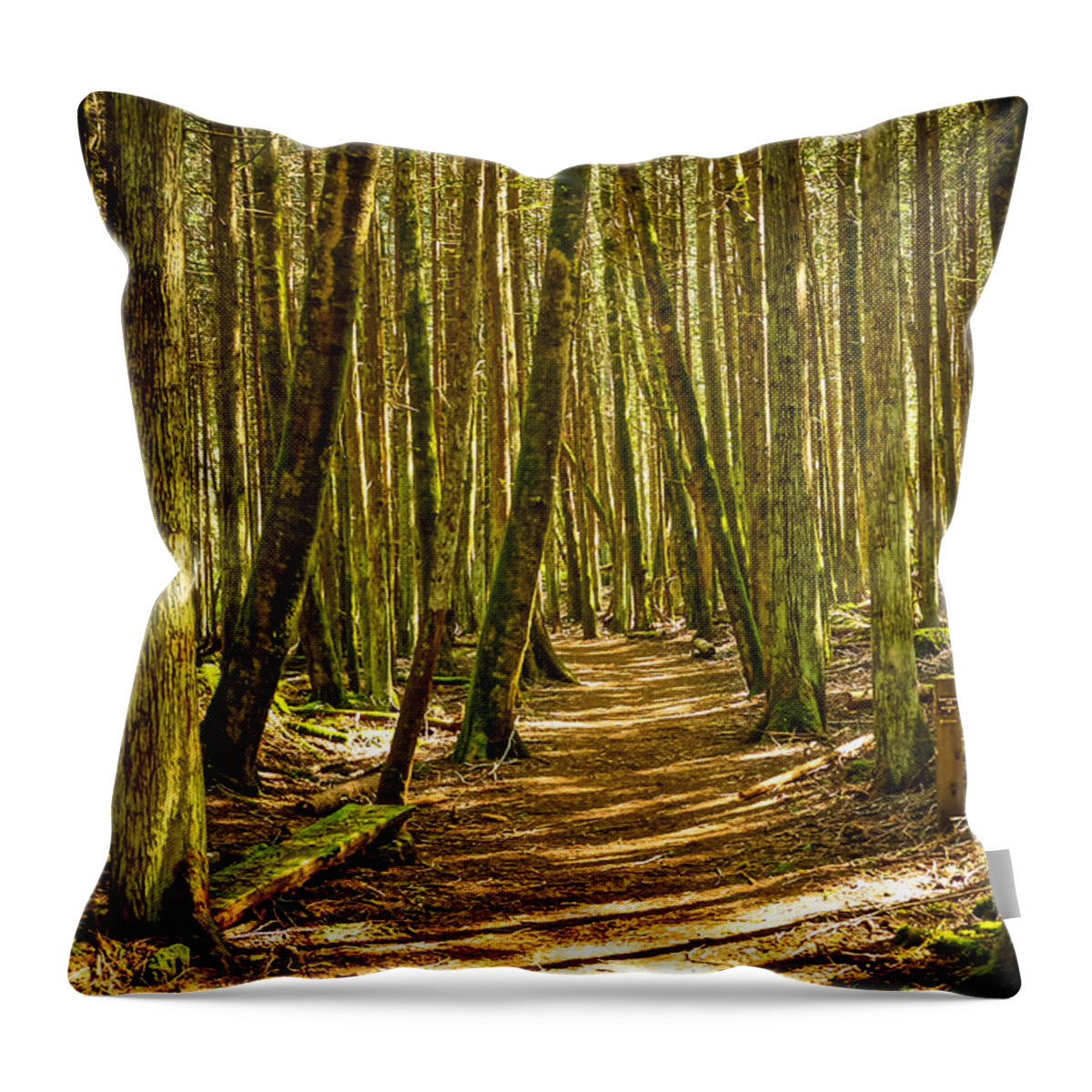 Trail Throw Pillow featuring the photograph Buck Lake Trail by Ronda Broatch