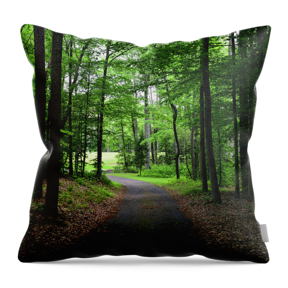  Throw Pillow featuring the photograph Buckner Farm Path by Dana Sohr