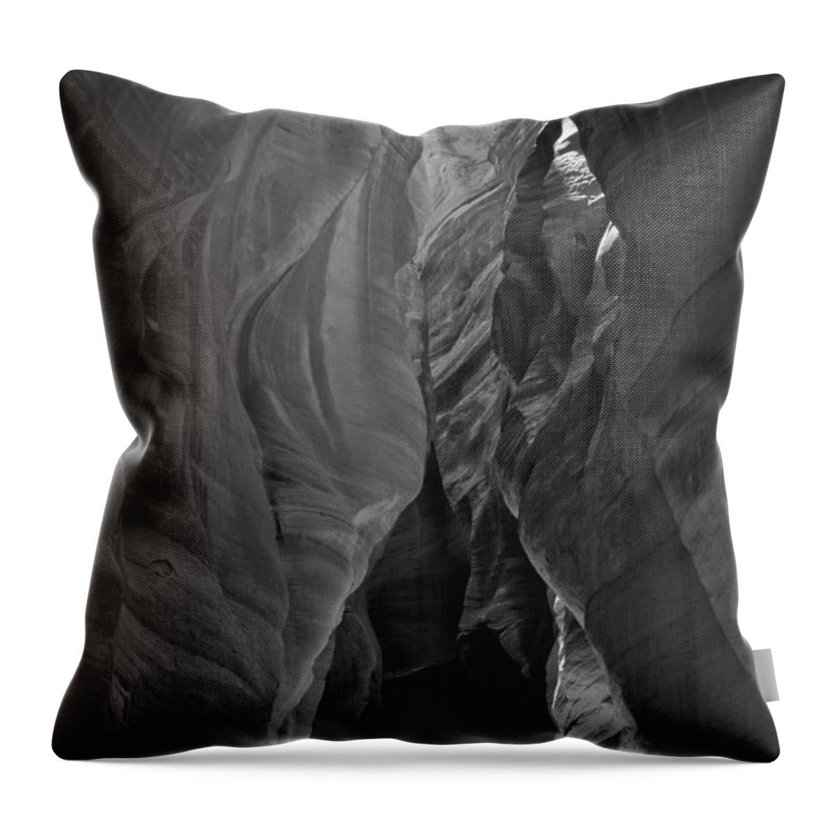 Slot Canyon Throw Pillow featuring the photograph Buckskin In Black And White by Adam Jewell