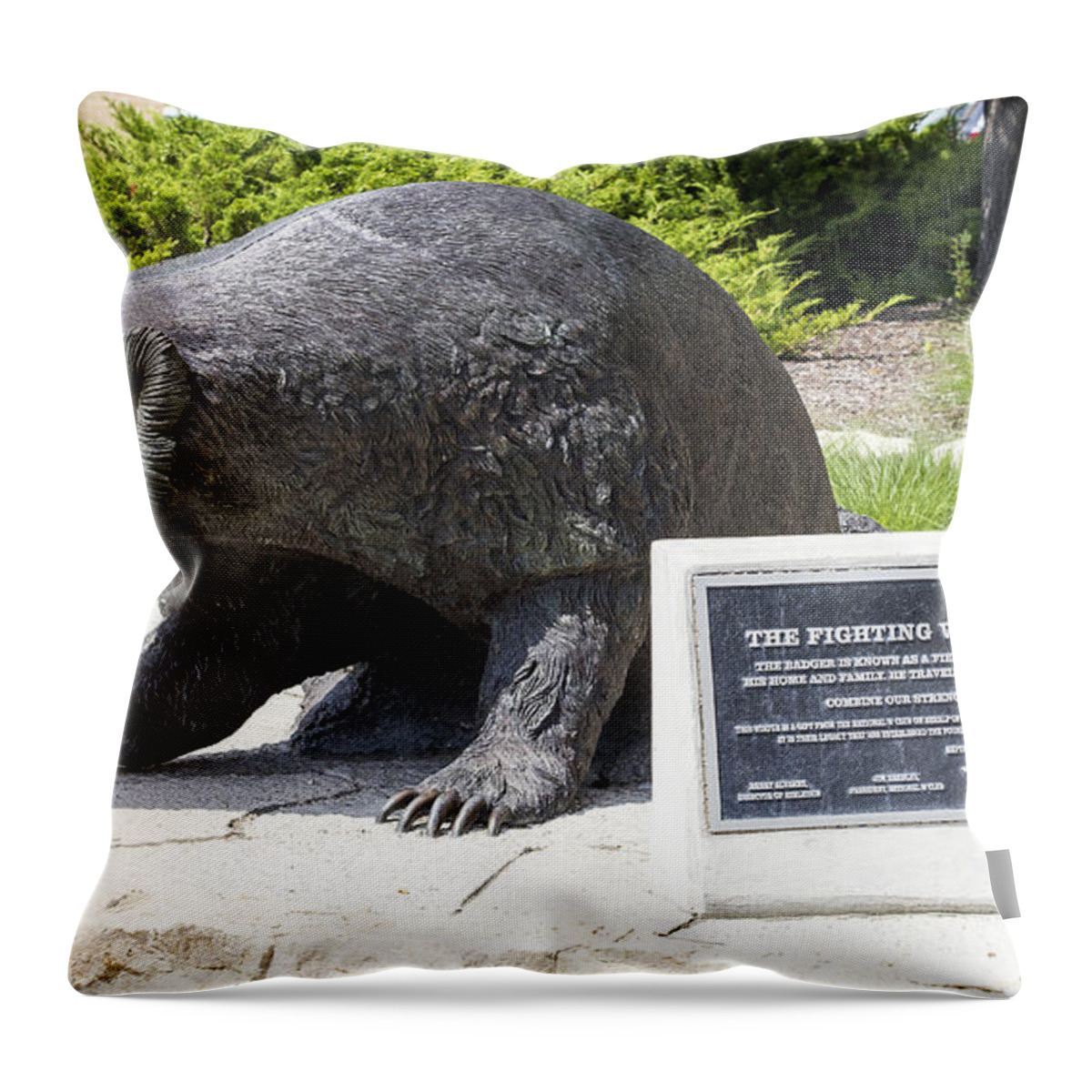 Badger Throw Pillow featuring the photograph Fighting Badger - UW Madison - Wisconsin by Steven Ralser
