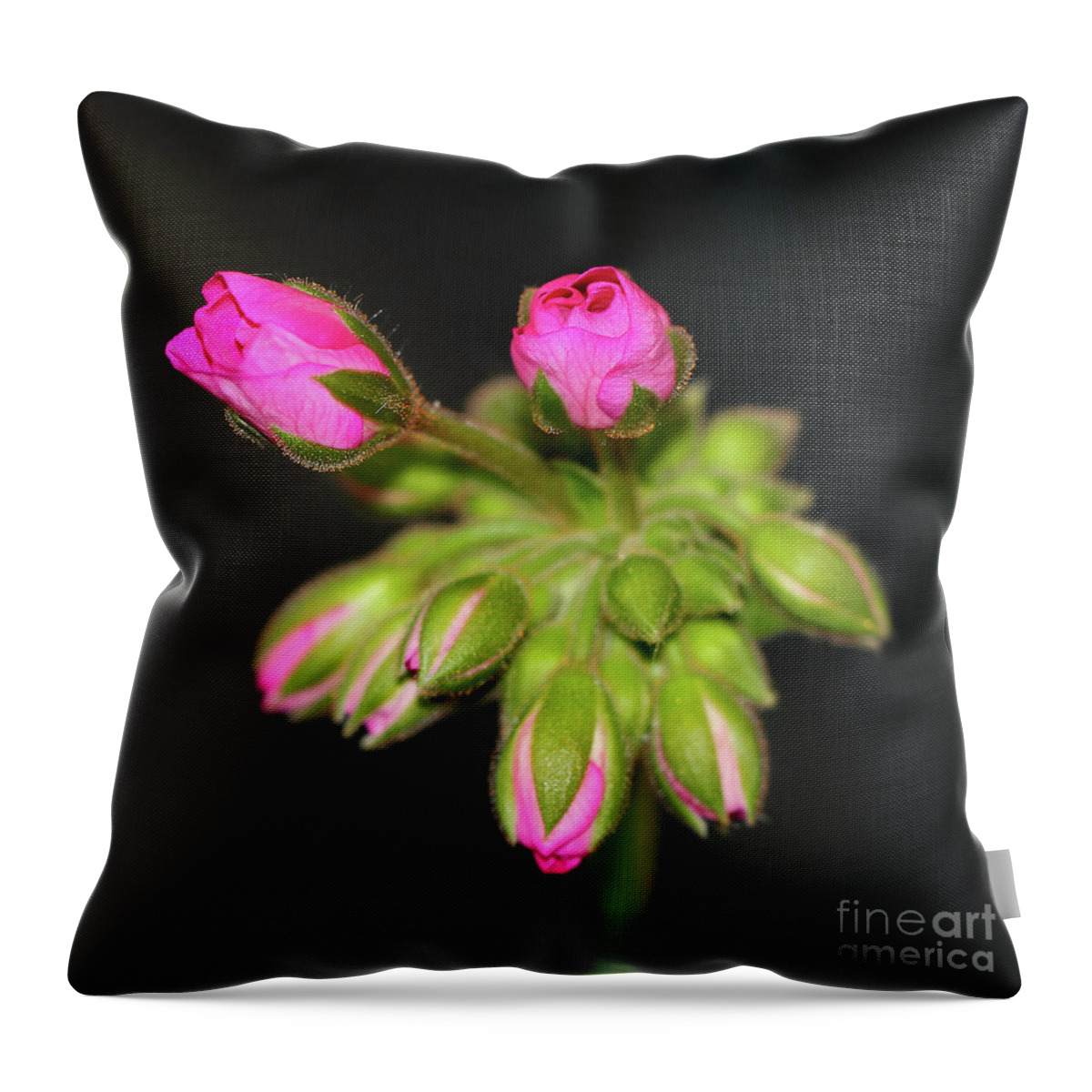 Flower Throw Pillow featuring the photograph Buds of Beauty by Karen Adams