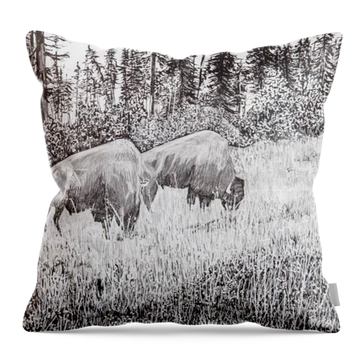 Pen And Ink Throw Pillow featuring the drawing Buffalo by Betsy Carlson Cross