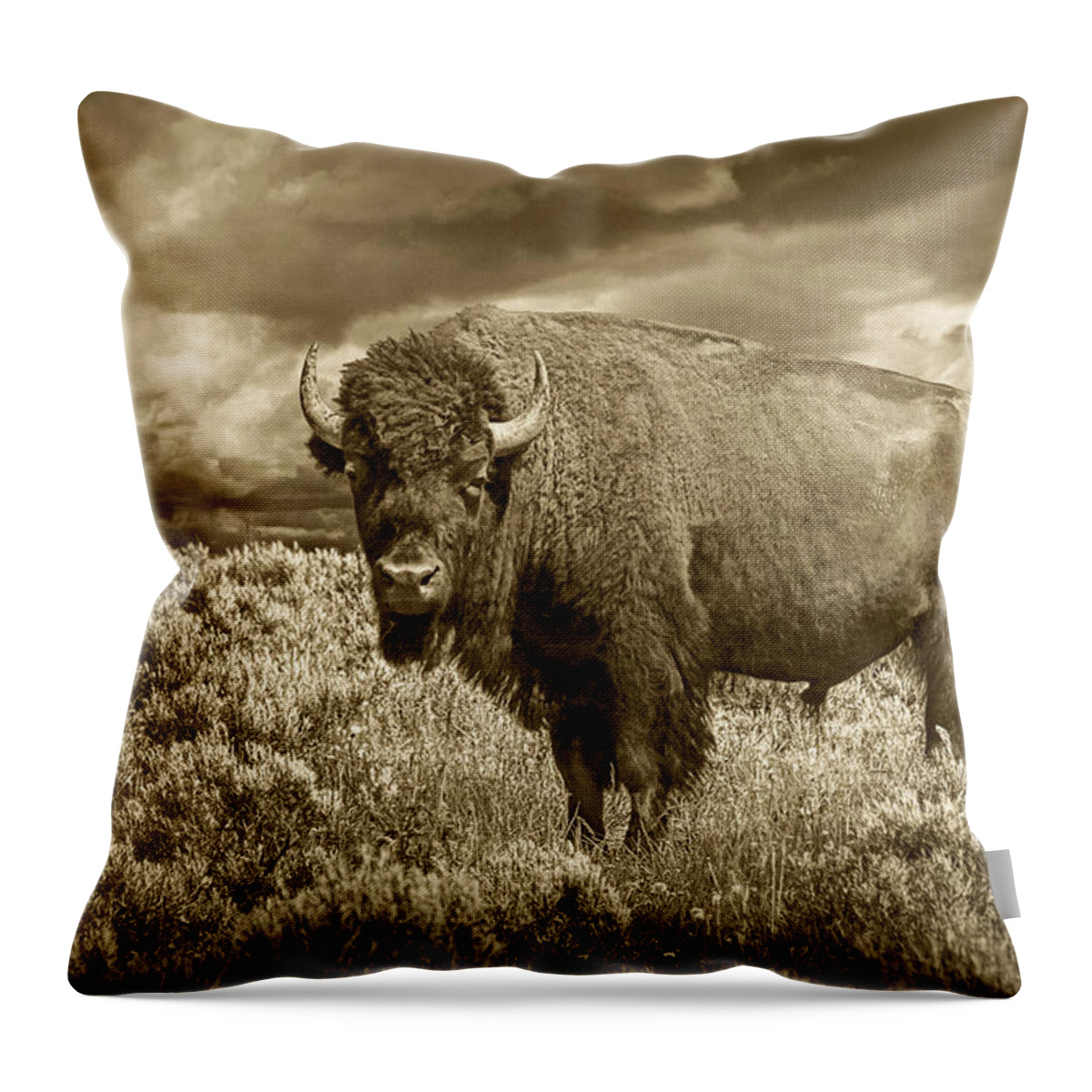 Buffalo Throw Pillow featuring the photograph Buffalo Bison at Yellowstone in Sepia by Randall Nyhof