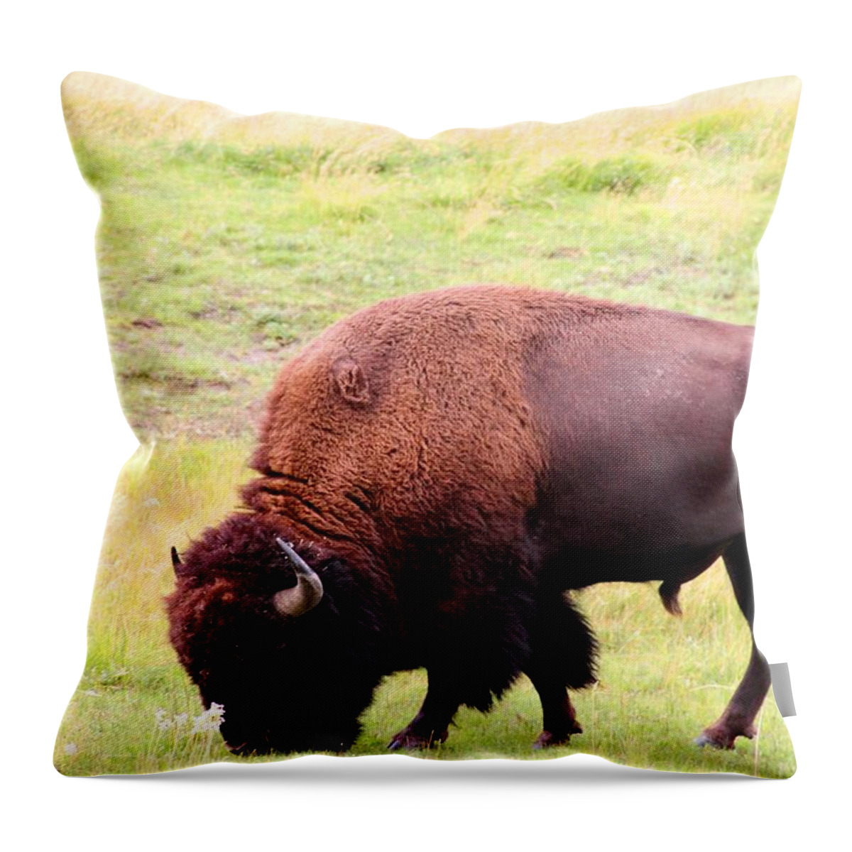 American Buffalo Throw Pillow featuring the photograph Buffalo Roaming by Charlene Reinauer