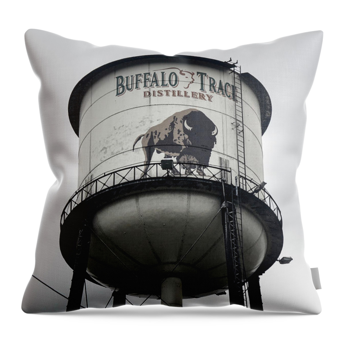 Bourbon Trail Throw Pillow featuring the photograph Buffalo Trace Distillery Water Tower by Deb Barchus
