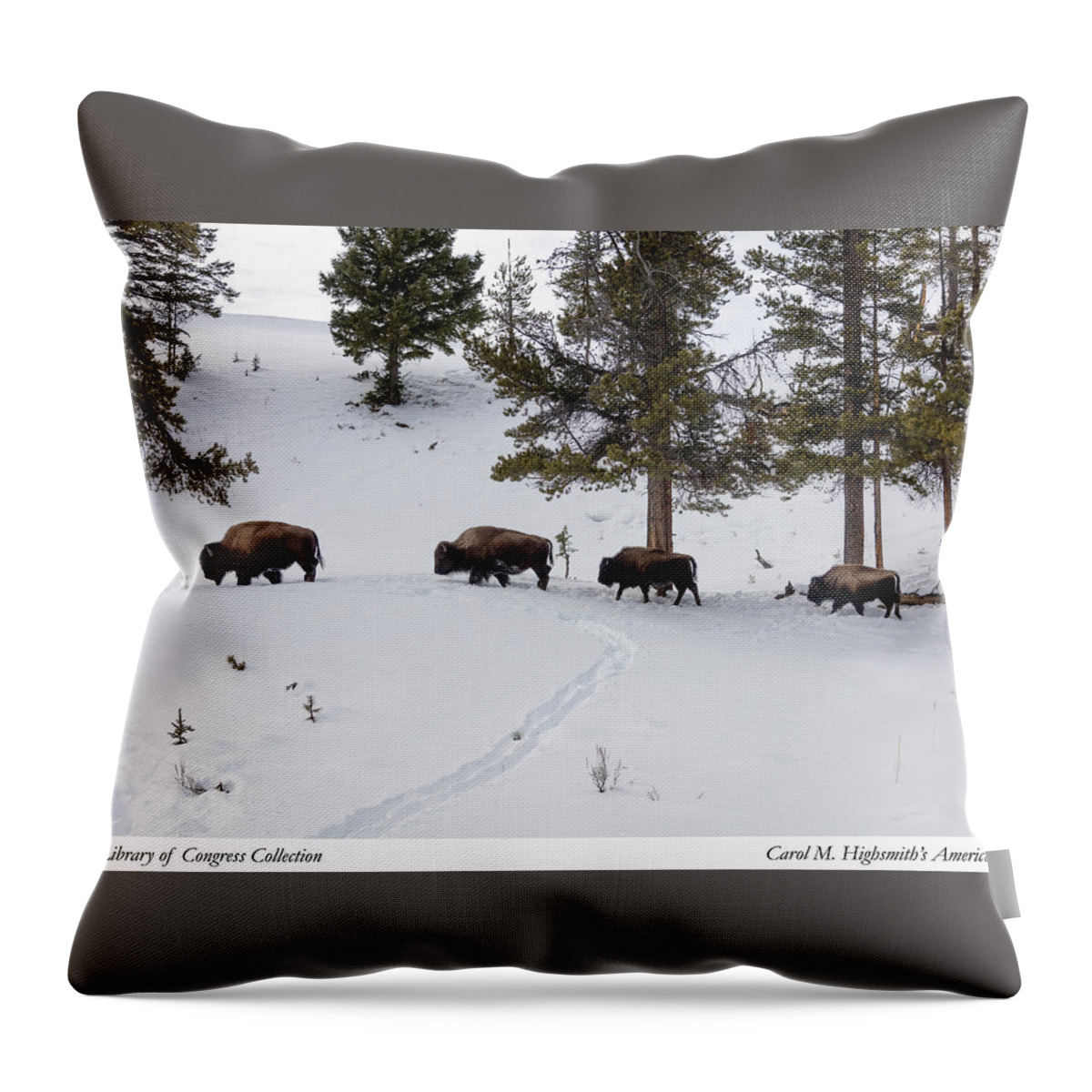 Carol M. Highsmith Throw Pillow featuring the photograph Buffaloes in Yellowstone National Park by Carol M Highsmith