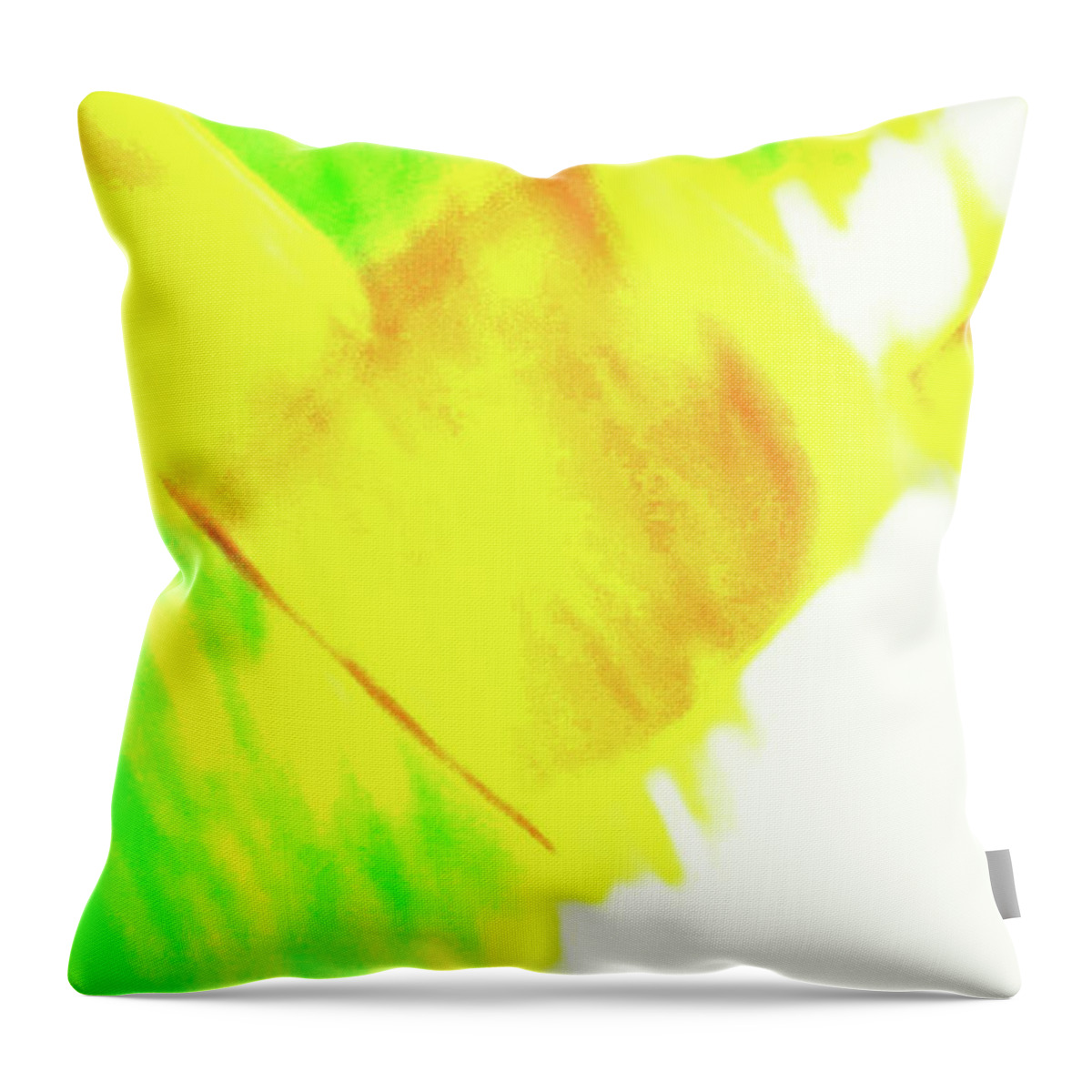 Abstract Throw Pillow featuring the photograph Building Blocks by Trina R Sellers