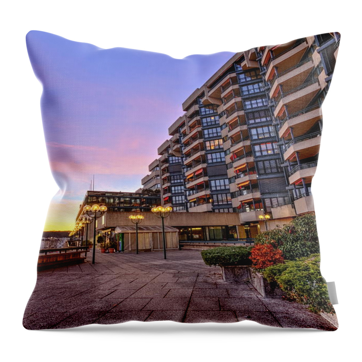 Building Throw Pillow featuring the photograph Building in Geneva, Switzerland, HDR by Elenarts - Elena Duvernay photo
