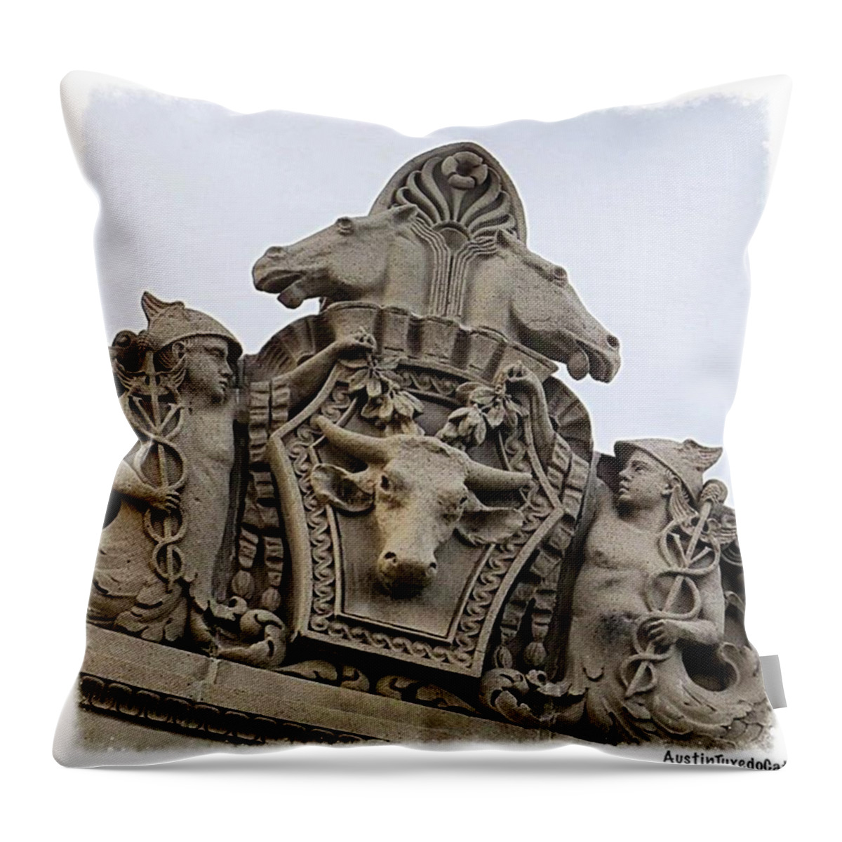 Collegelife Throw Pillow featuring the photograph Built In 1932 As A #veterinary by Austin Tuxedo Cat