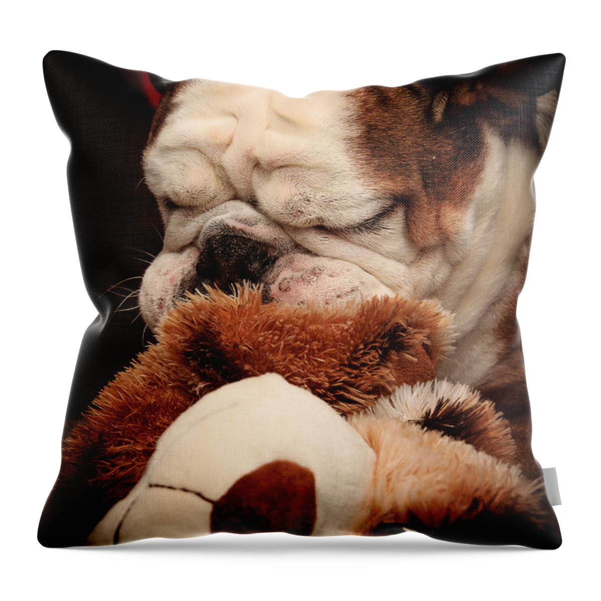 Animal Throw Pillow featuring the photograph Bull Dog vs. Stuffed Dog by Joni Eskridge