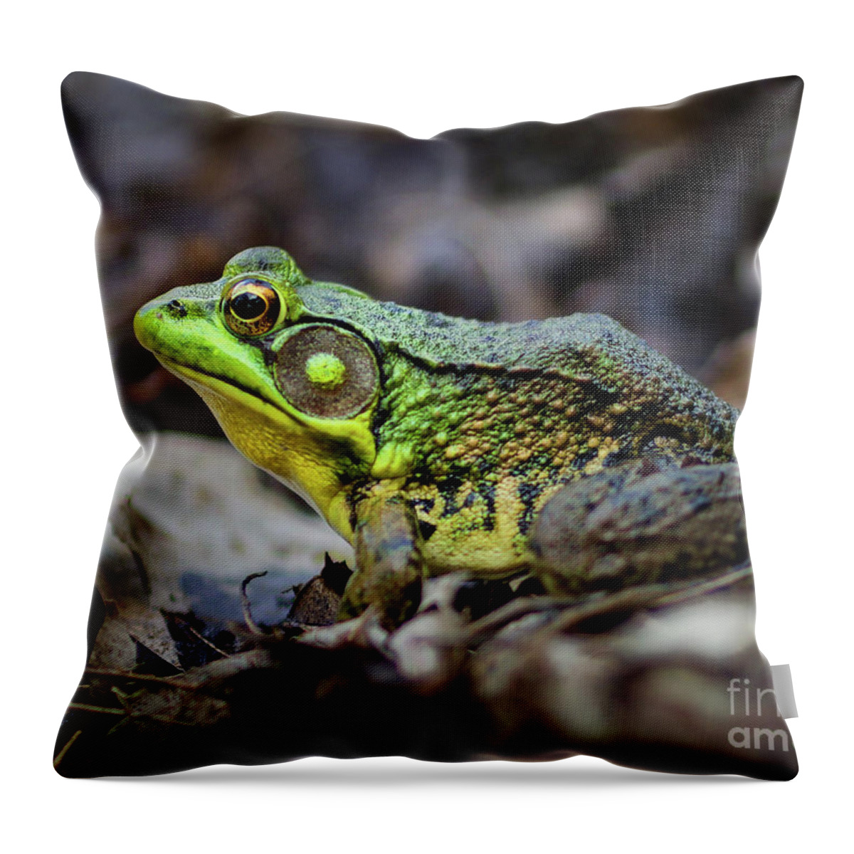 Frog Throw Pillow featuring the photograph Bull Frog by Mark Miller