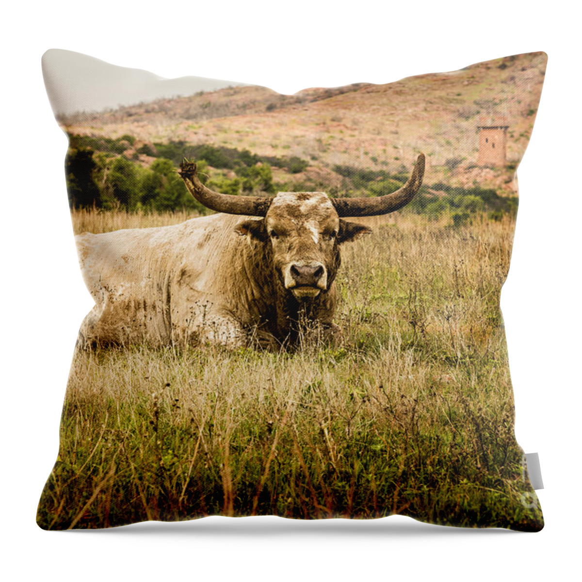 tamyra Ayles Throw Pillow featuring the photograph Bull Longhorn by Tamyra Ayles