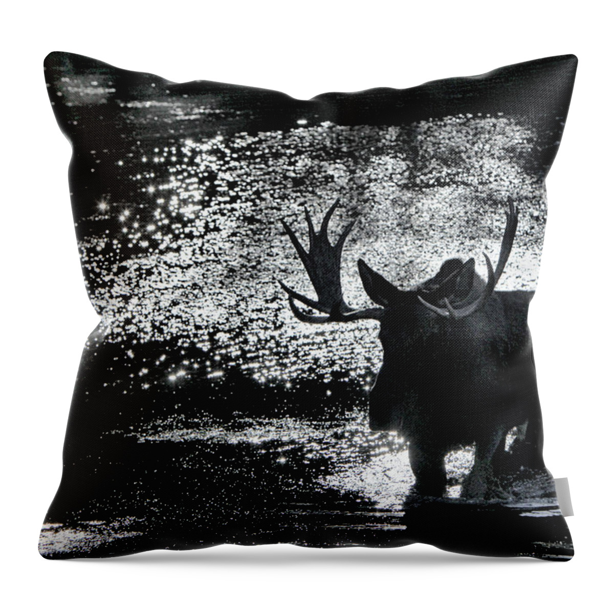 Cloud Cover Over Bull Moose Throw Pillow featuring the photograph Bull Moose Shadow by Marta Alfred