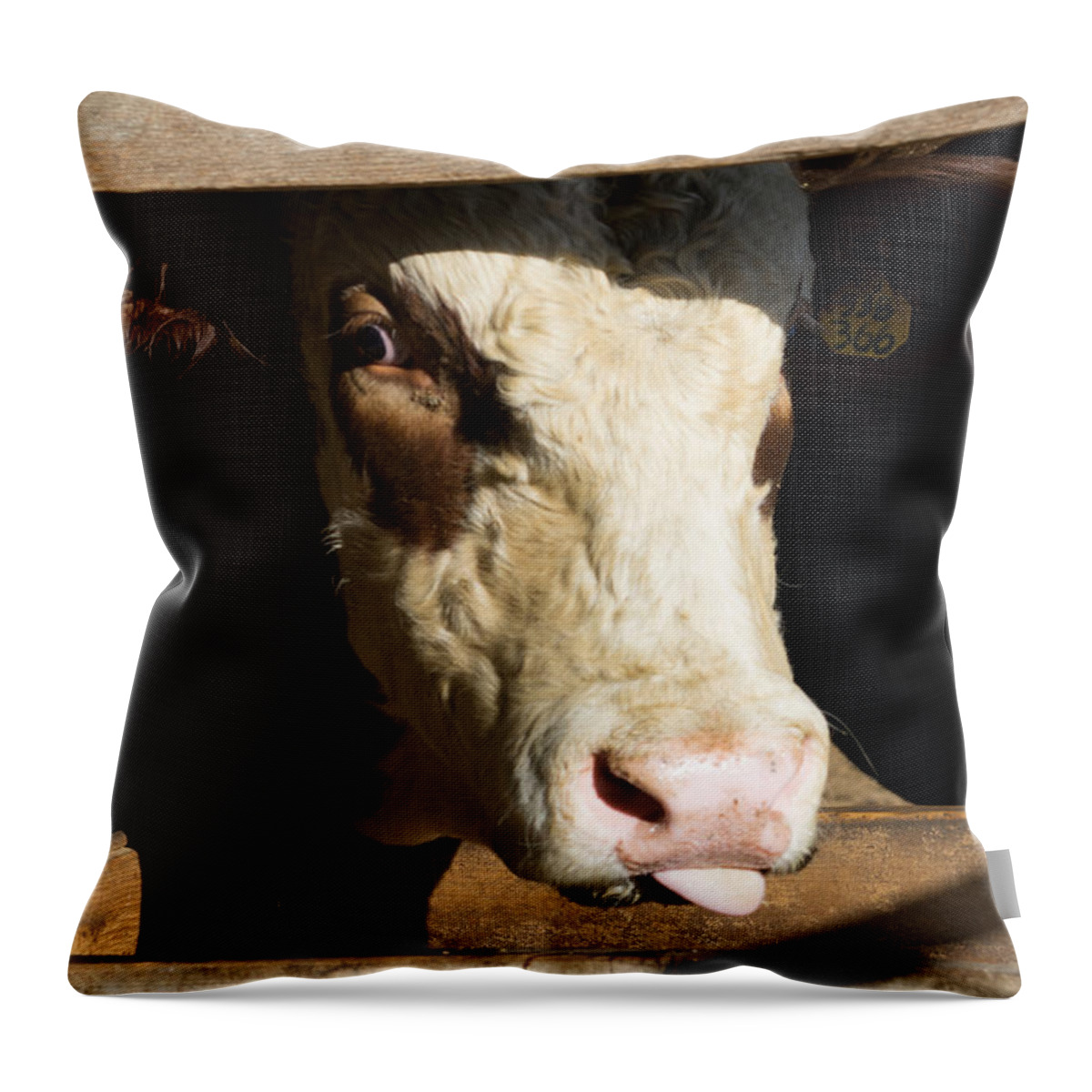 Bull Snark Throw Pillow featuring the photograph Bull Snark by Brooke Bowdren