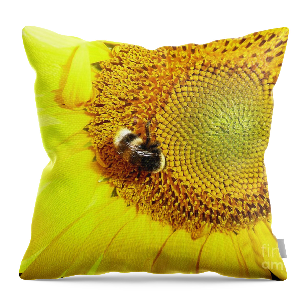 Artistic Throw Pillow featuring the photograph Bumblebee on Sunflower by Jean Bernard Roussilhe