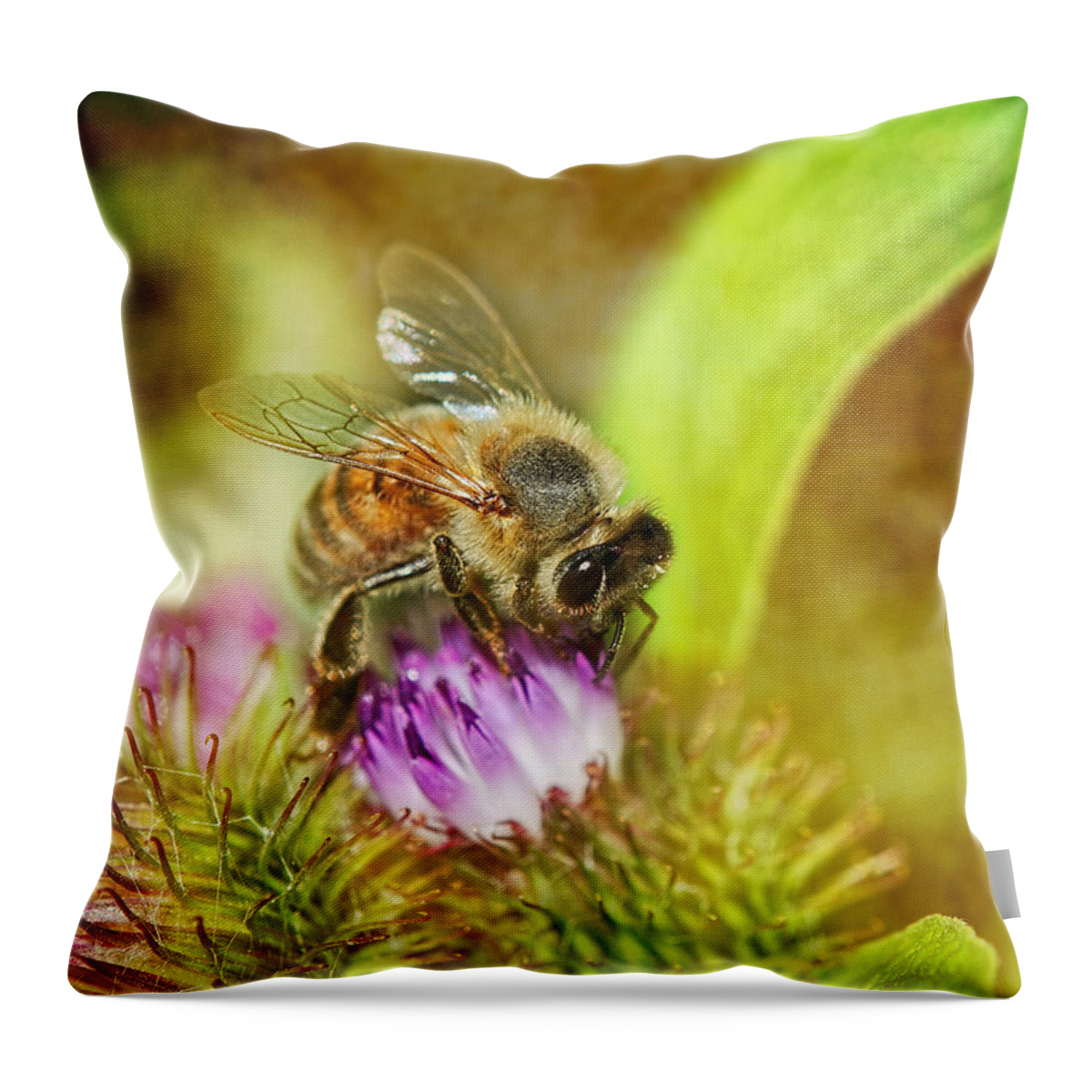 Bee Throw Pillow featuring the photograph Bumbling Bee by Sue Capuano