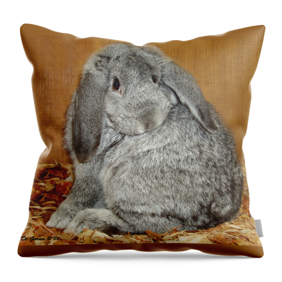 Bunny Throw Pillow featuring the photograph Bunny by Gina De Gorna