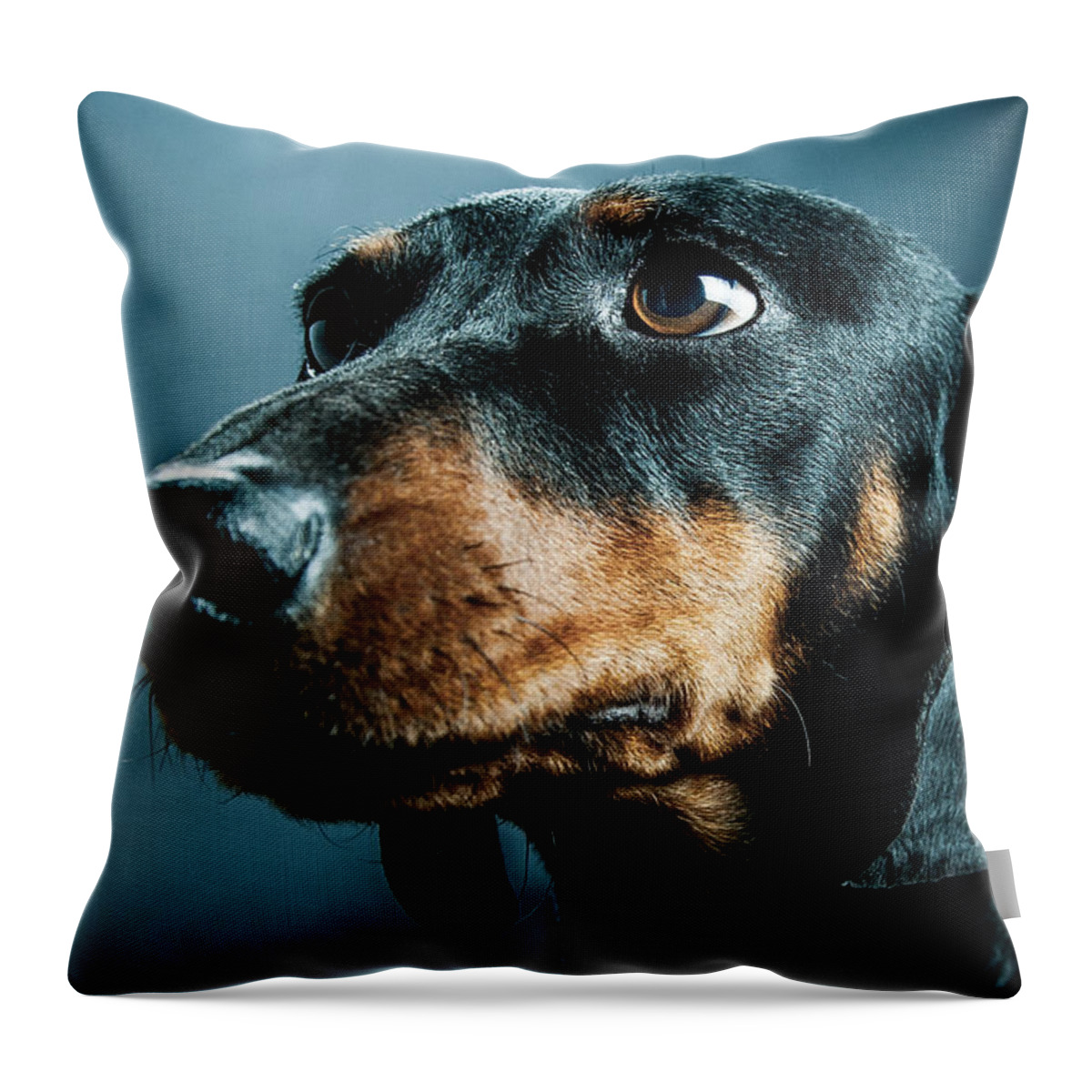 Steven Green Throw Pillow featuring the photograph Bunny by SR Green