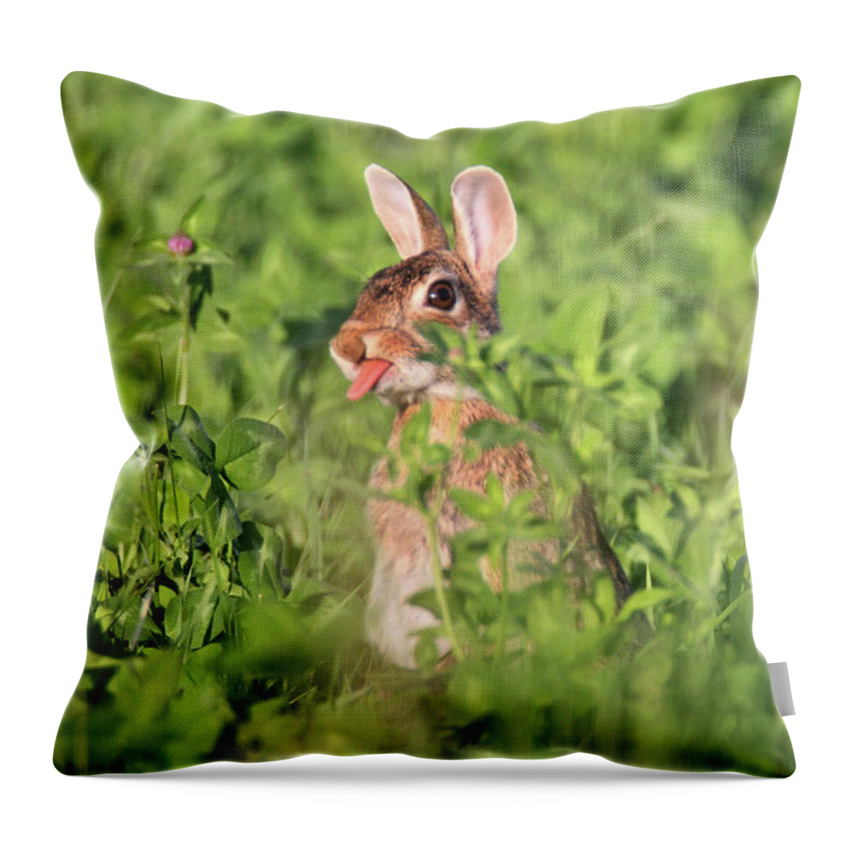 Rabbit Throw Pillow featuring the photograph Bunny Tongue out by Brook Burling