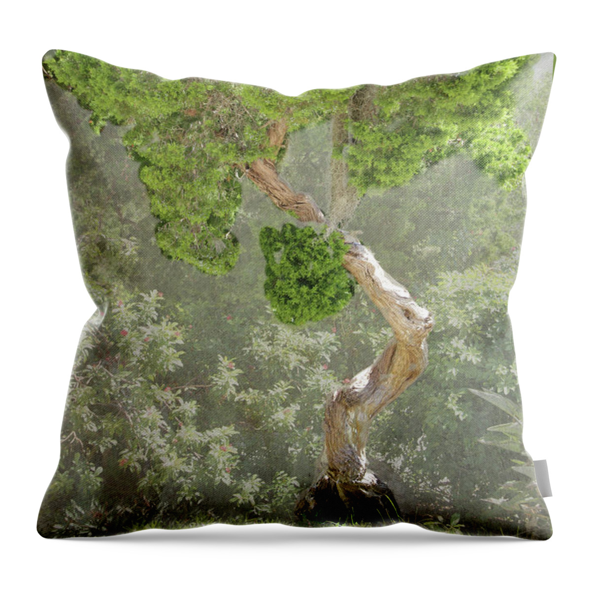 Tree Throw Pillow featuring the photograph Bunny Tree by Rosalie Scanlon