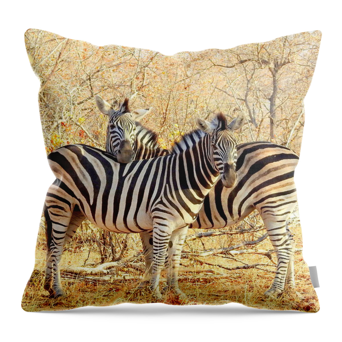 Zebra Throw Pillow featuring the photograph Burchells Zebras by Betty-Anne McDonald