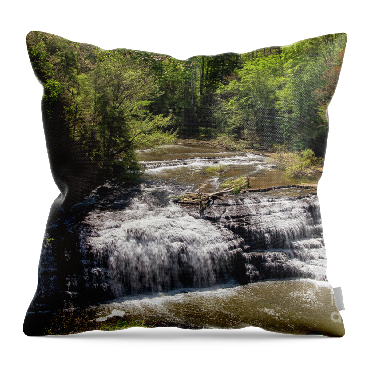 Burgess Falls State Park Throw Pillow featuring the photograph Burgess Middle Falls by Bob Phillips
