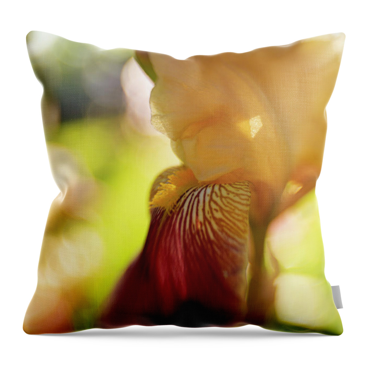 Iris Throw Pillow featuring the photograph Burgundy dreams by Pamela Taylor