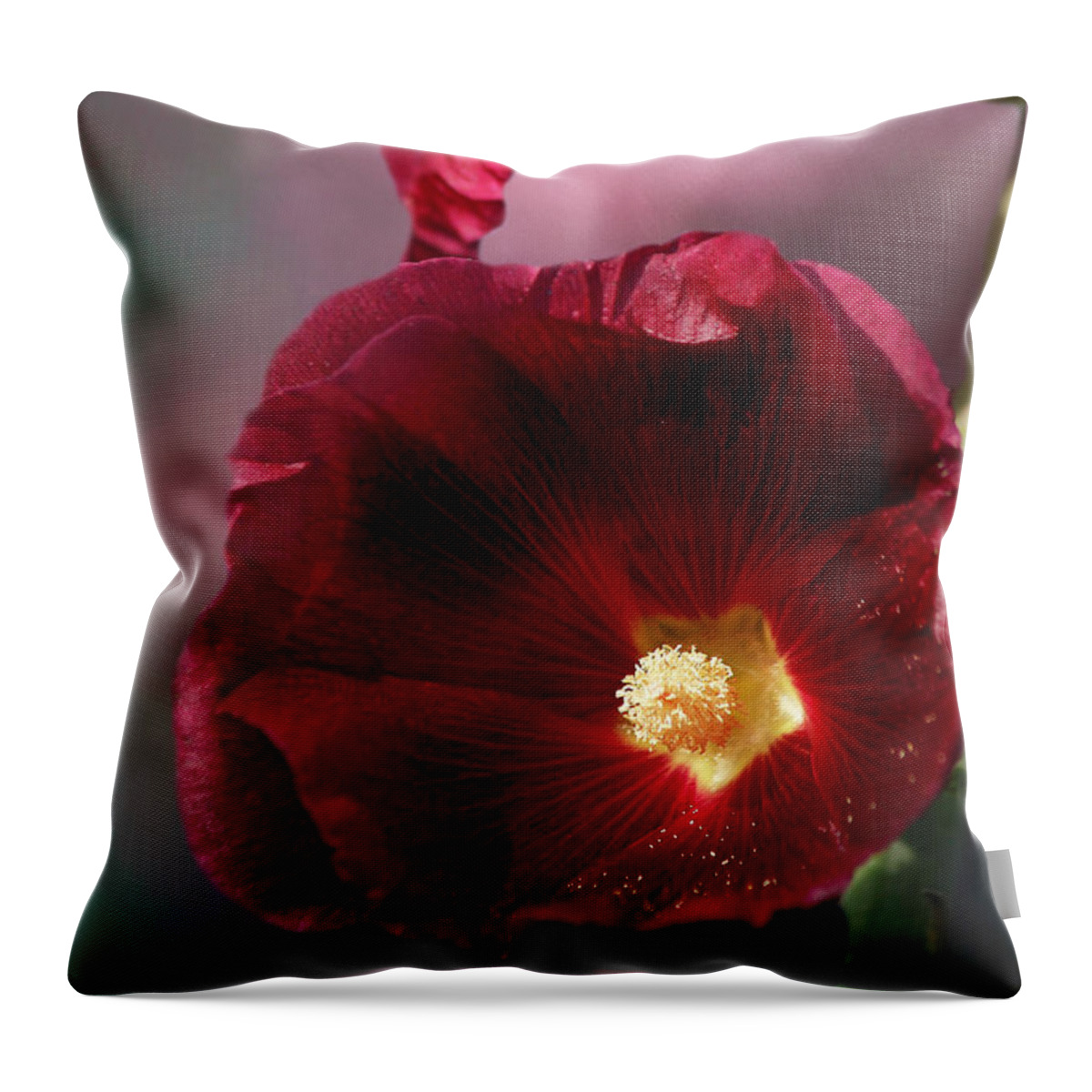 Hollyhock Throw Pillow featuring the photograph Burgundy Hollyhock by Cindi Ressler