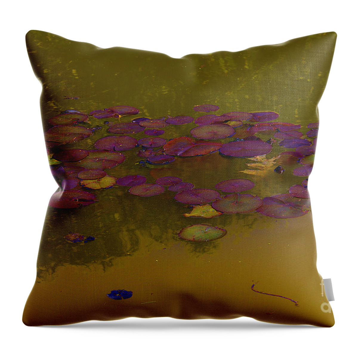Burgundy Lily Pads Throw Pillow featuring the photograph Burgundy Lily Pads, copper water by David Frederick