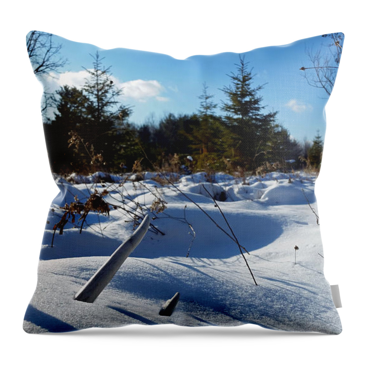 Shed Throw Pillow featuring the photograph Buried Treasure by Brook Burling